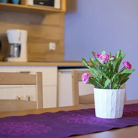 Alpejska Wioska - I Z Aneksem Kuchennym Istebna